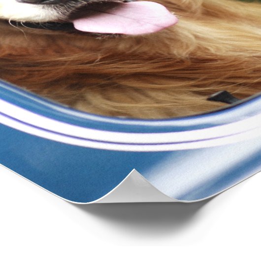 Hunde im Auto Poster (Ecke)
