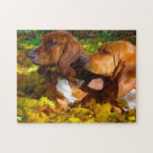 Hunde im Basset. Puzzle (Horizontal)