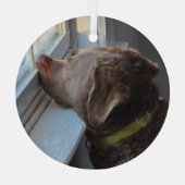 Hunde im Fenster Ornament Aus Glas (Rückseite)