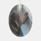 Hunde im Fenster Ornament Aus Glas (Vorderseite links)