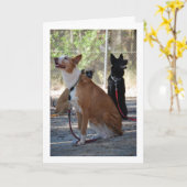 Hunde im Garten Karte (Gelbe Blume)