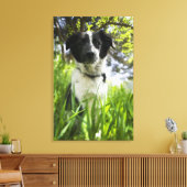 Hunde im Gras sitzen Leinwanddruck (Insitu (Wohnzimmer))