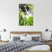 Hunde im Gras sitzen Leinwanddruck (Insitu (Schlafzimmer))