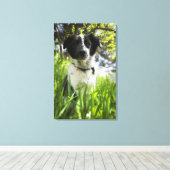 Hunde im Gras sitzen Leinwanddruck (Insitu (Holzboden))