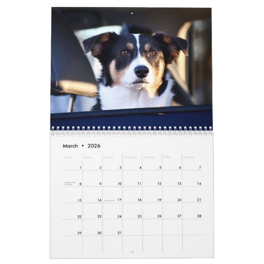 Hunde im Kalender der Autos (Mär 2026)