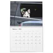 Hunde im Kalender der Autos (Feb 2026)