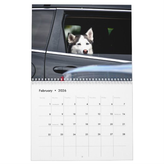 Hunde im Kalender der Autos (Feb 2026)