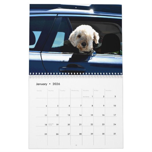 Hunde im Kalender der Autos (Jan 2026)