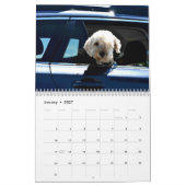 Hunde im Kalender der Autos (Jan 2027)