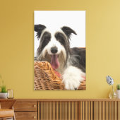 Hunde im Korb 2 Leinwanddruck (Insitu (Wohnzimmer))