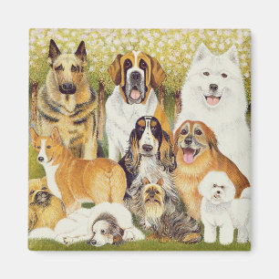Hunde im Mai Magnet
