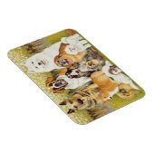 Hunde im Mai Magnet (Rechte Seite)