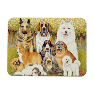 Hunde im Mai Magnet