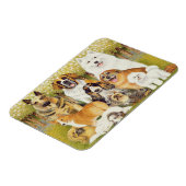Hunde im Mai Magnet (Linke Seite)