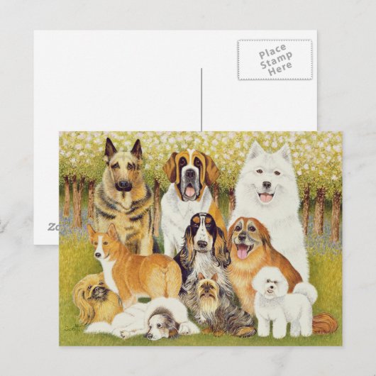 Hunde im Mai Postkarte (Vorne/Hinten)