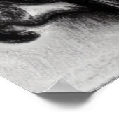 Hunde im Park Schwarz-Weiß Kunst-Poster Poster (Ecke)