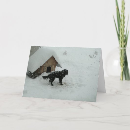Hunde im Schnee bei Hundehütte Feiertagskarte (Vorderseite)