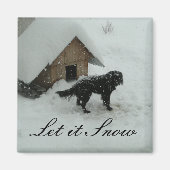 Hunde im Schnee bei Hundehütte Magnet (Vorne)