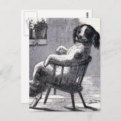 "Hunde im Stuhl" - Abbildung Postkarte (Vorne/Hinten)