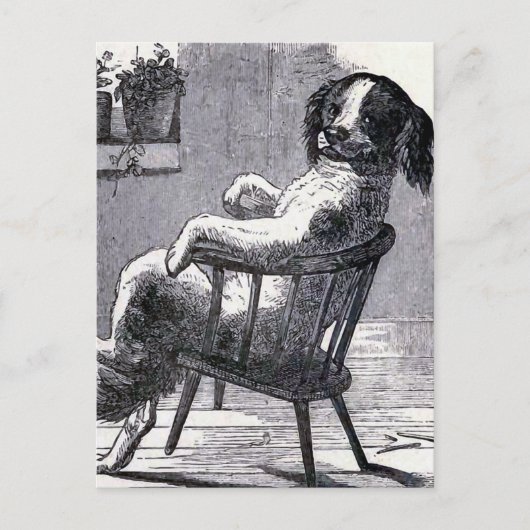 "Hunde im Stuhl" - Abbildung Postkarte (Vorderseite)