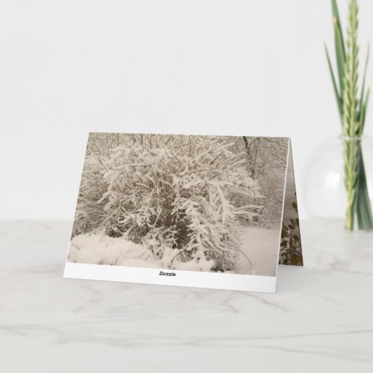 Hunde im Winter Karte (Rückseite)