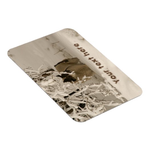 Hunde im Winter Magnet (Rechte Seite)