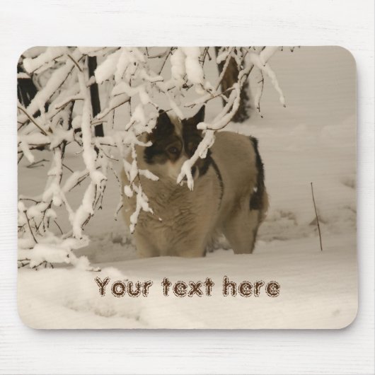 Hunde im Winter Mousepad (Vorne)