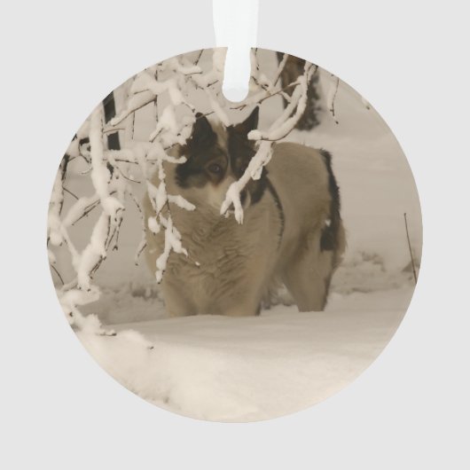 Hunde im Winter Ornament (Rückseite)