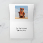 Hunde in der Kostümkarte Karte (Innenseite)