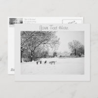 Hunde in der Winterschneelandschaft