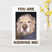 HUNDE IN DISBELIEF, DU HAST EINEN ANDEREN GEBURTST KARTE (Gelbe Blume)