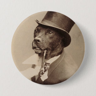 Hunde in einem Hut Button