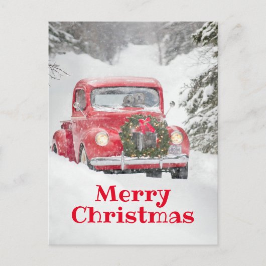 Hunde in einem LKW Einladungspostkarte (Vorderseite)