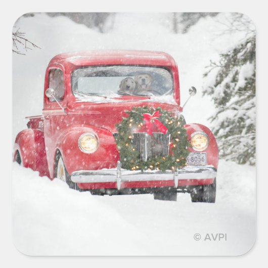 Hunde in einem LKW Quadratischer Aufkleber (Vorderseite)