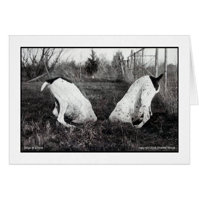 Hunde in einem Loch (Vorderseite (Horizontal))