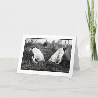 Hunde in einem Loch Karte