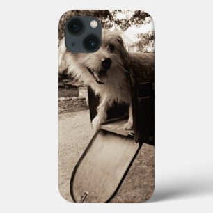 Hunde in einem Postfach Case-Mate iPhone Hülle