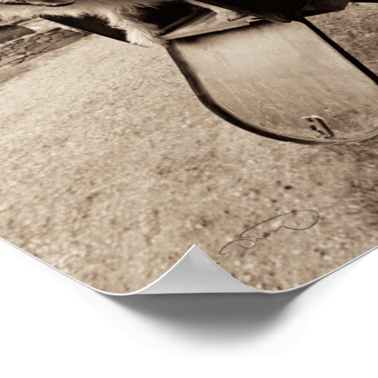 Hunde in einem Postfach Poster (Ecke)