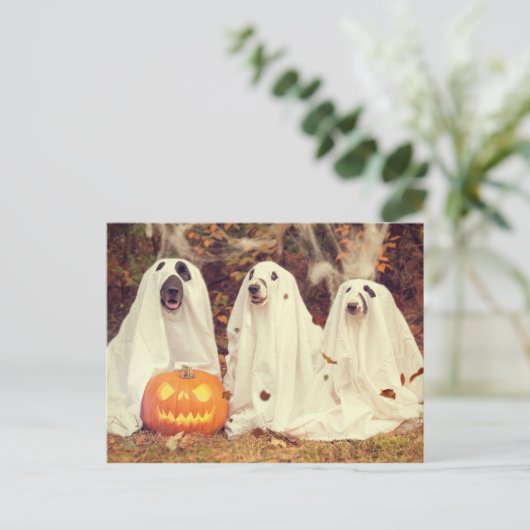 Hunde in Ghost Costumes Funny Halloween Postkarte (Stehend Vorderseite)
