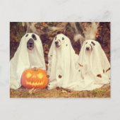 Hunde in Ghost Costumes Funny Halloween Postkarte (Vorderseite)