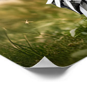 Hunde in Halloween-Kostüm Poster (Ecke)