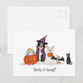 Hunde in Halloween-Kostümen Postkarte (Vorne/Hinten)