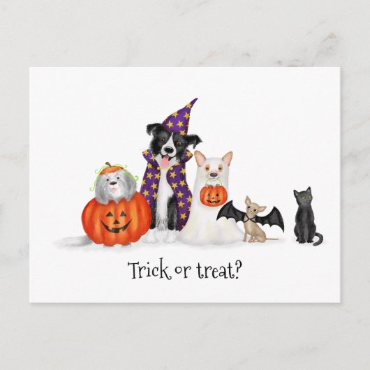 Hunde in Halloween-Kostümen Postkarte (Vorderseite)