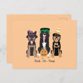 Hunde in Halloween-Kostümen probieren oder behande Postkarte (Vorne/Hinten)