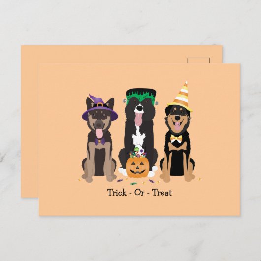 Hunde in Halloween-Kostümen probieren oder behande Postkarte (Vorne/Hinten)
