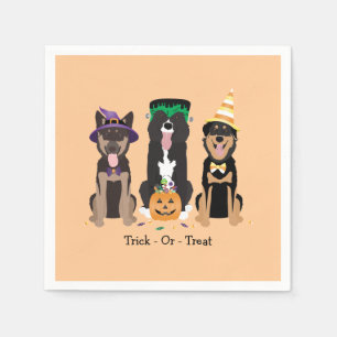 Hunde in Halloween-Kostümen probieren oder behande Serviette