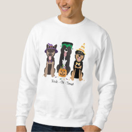 Hunde in Halloween-Kostümen probieren oder behande Sweatshirt