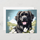 Hunde in Neufundland mit weißen Blume Postkarte (Vorne/Hinten)