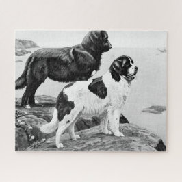 Hunde in Neufundland - Vintage Illustrationsschau Puzzle