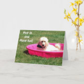 HUNDE IN POOL SAGT, JUMP IN UND GENIESSEN SIE IHRE KARTE (Gelbe Blume)